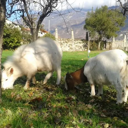 Farm stay L'ospitalita Del Castello Settimo Vittone