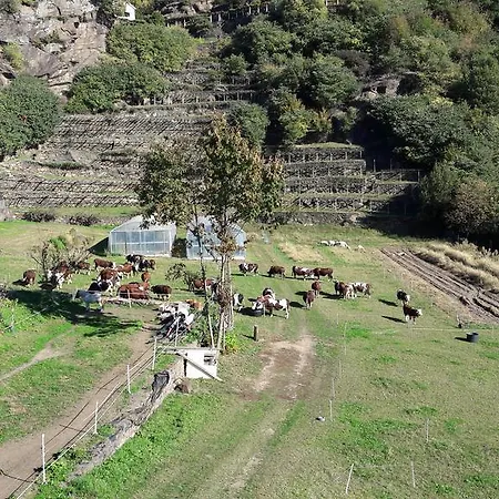 Farm stay L'ospitalita Del Castello *