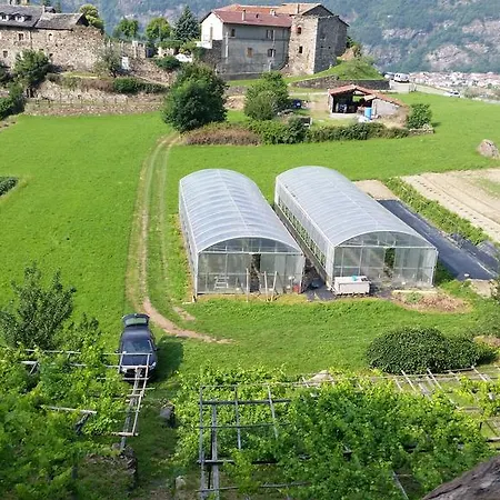 L'ospitalita Del Castello *