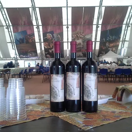 L'ospitalita Del Castello