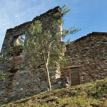 L'ospitalita Del Castello Farm stay *