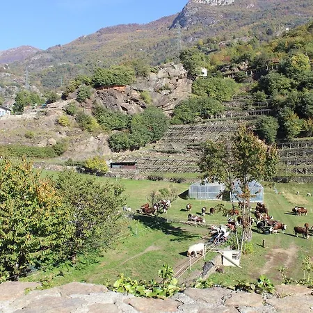 L'ospitalita Del Castello *