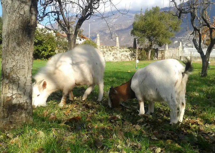 Hotel L'ospitalita Del Castello Settimo Vittone
