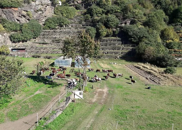 فندق L'ospitalita Del Castello *