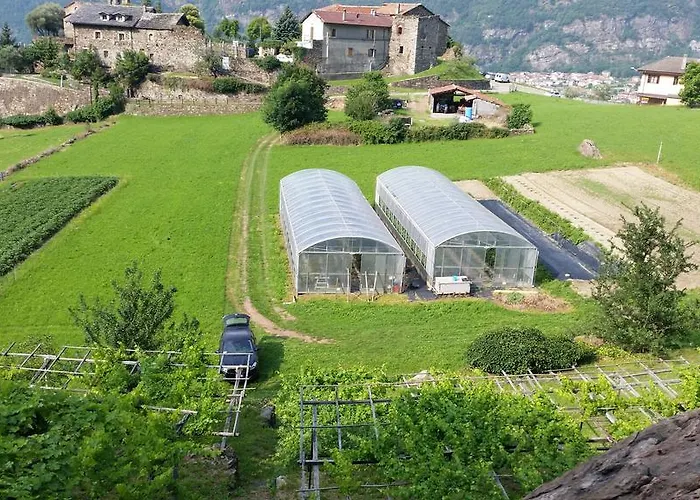 L'ospitalita Del Castello *