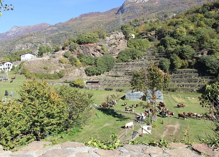 L'ospitalita Del Castello *